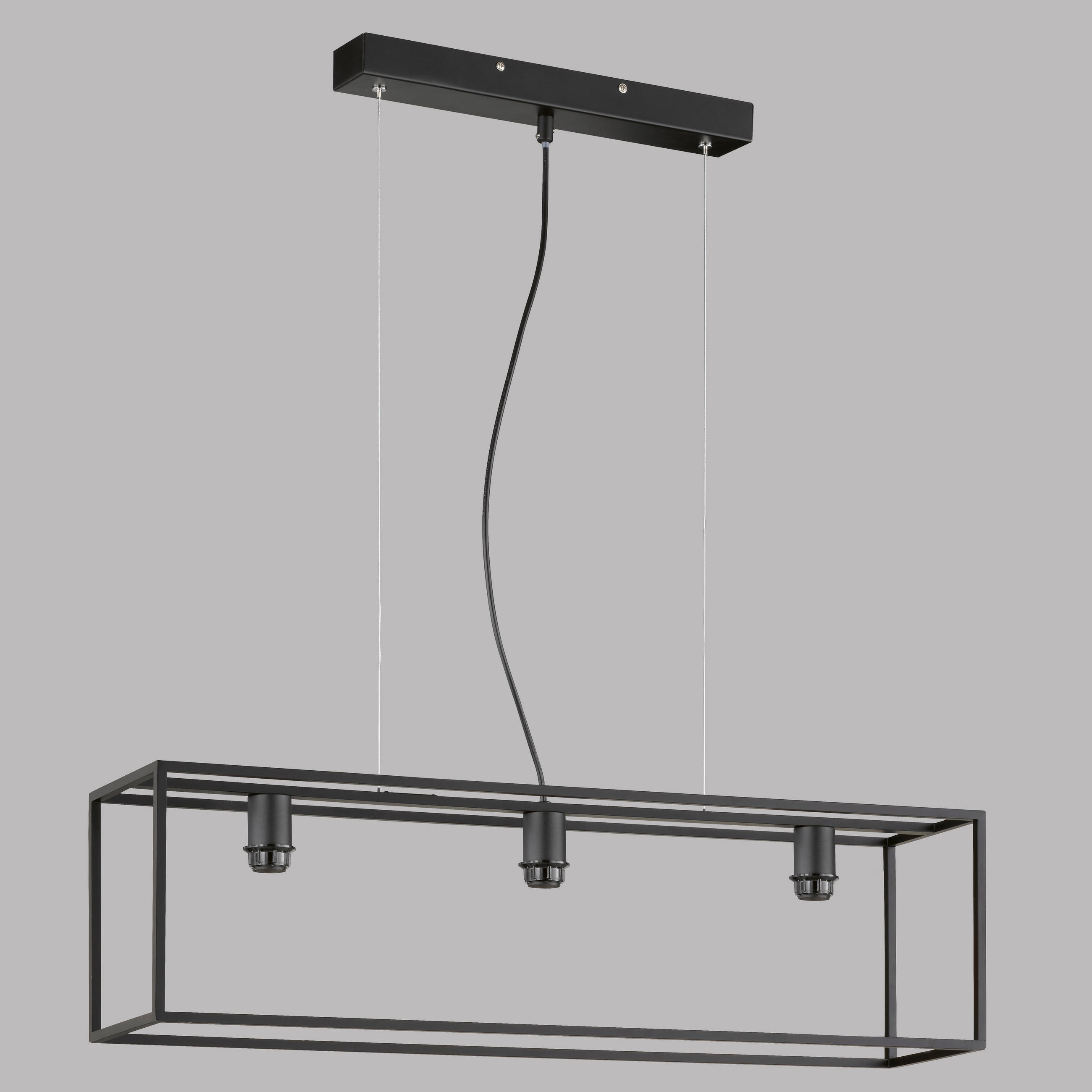 HÄNGELEUCHTE    - Schwarz, Basics, Metall (20/90cm) - Fischer & Honsel