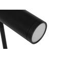 LED-STEHLEUCHTE 87/40/205,5 cm    - Schwarz, Design, Metall (87/40/205,5cm) - Dieter Knoll