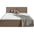 POLSTERBETT Lederlook 180/200 cm - Schlammfarben/Schwarz, Design, Holz/Kunststoff (180/200cm) - Carryhome