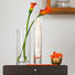 VASE - Klar, Basics, Glas (30cm) - LEONARDO