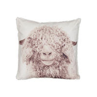 PRYDNADSKUDDE   45/45/8 cm  - vit, Basics, textil (45/45/8cm)