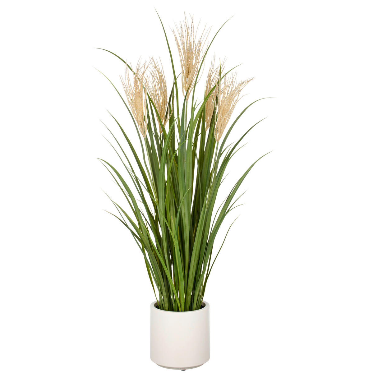 KUNSTPFLANZE Schilfgras  - Creme/Grün, Basics, Kunststoff (25/120/25cm)