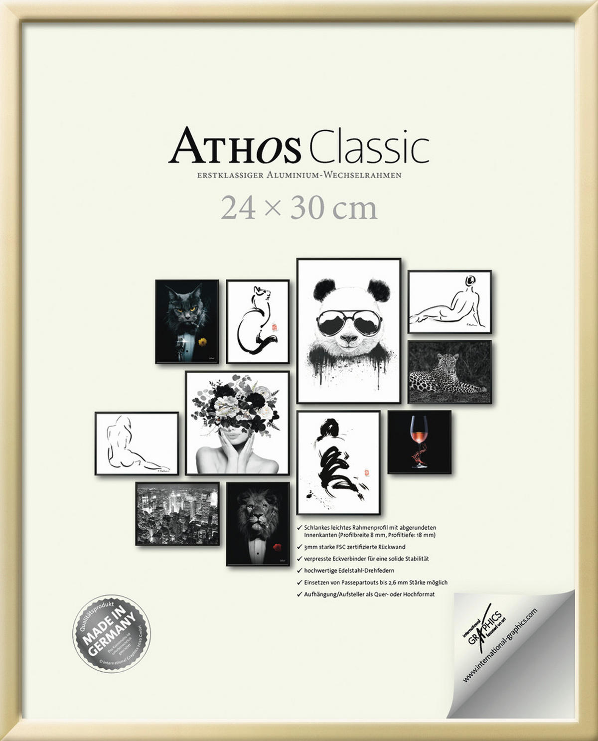 BILDERRAHMEN - Goldfarben, Basics, Papier/Holzwerkstoff (24/30/1,8cm)