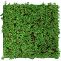 AKUSTIKPANEEL Modular Wall System Nature Design Flora 52/52/6 cm  - Hellgrün, KONVENTIONELL, Kunststoff (52/52/6cm) - Jangal