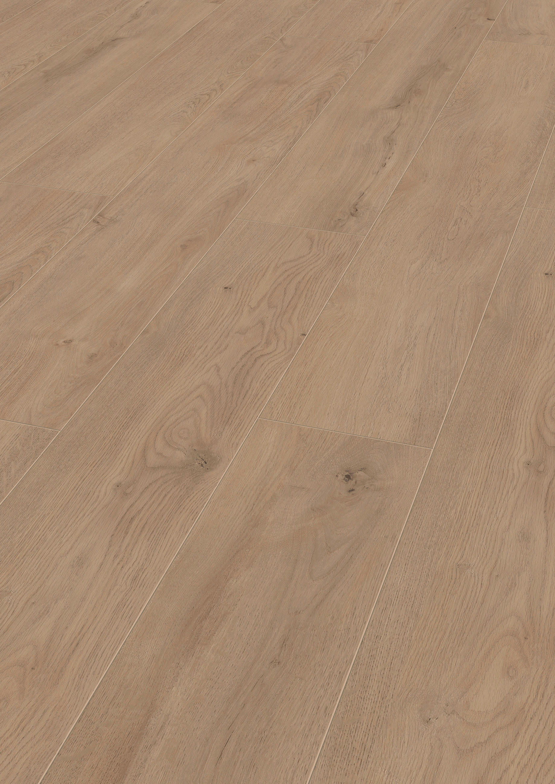 LAMINATBODEN Exquisit  - Eichefarben, KONVENTIONELL, Holz (138.0/19.3/0.8cm)