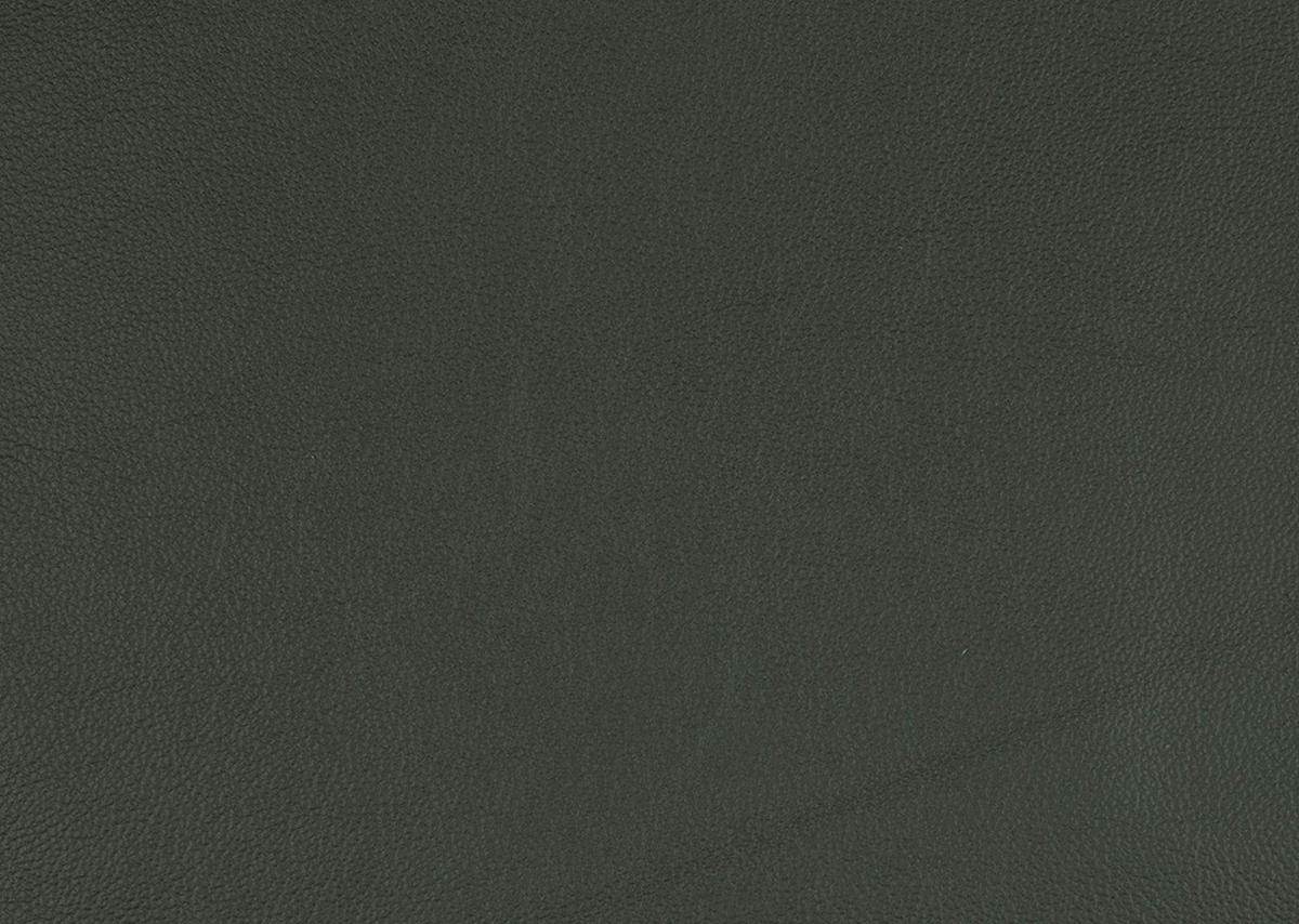 ECKSOFA in Echtleder Dunkelgrün  - Dunkelgrün/Schwarz, Design, Leder/Metall (334/176cm) - Dieter Knoll