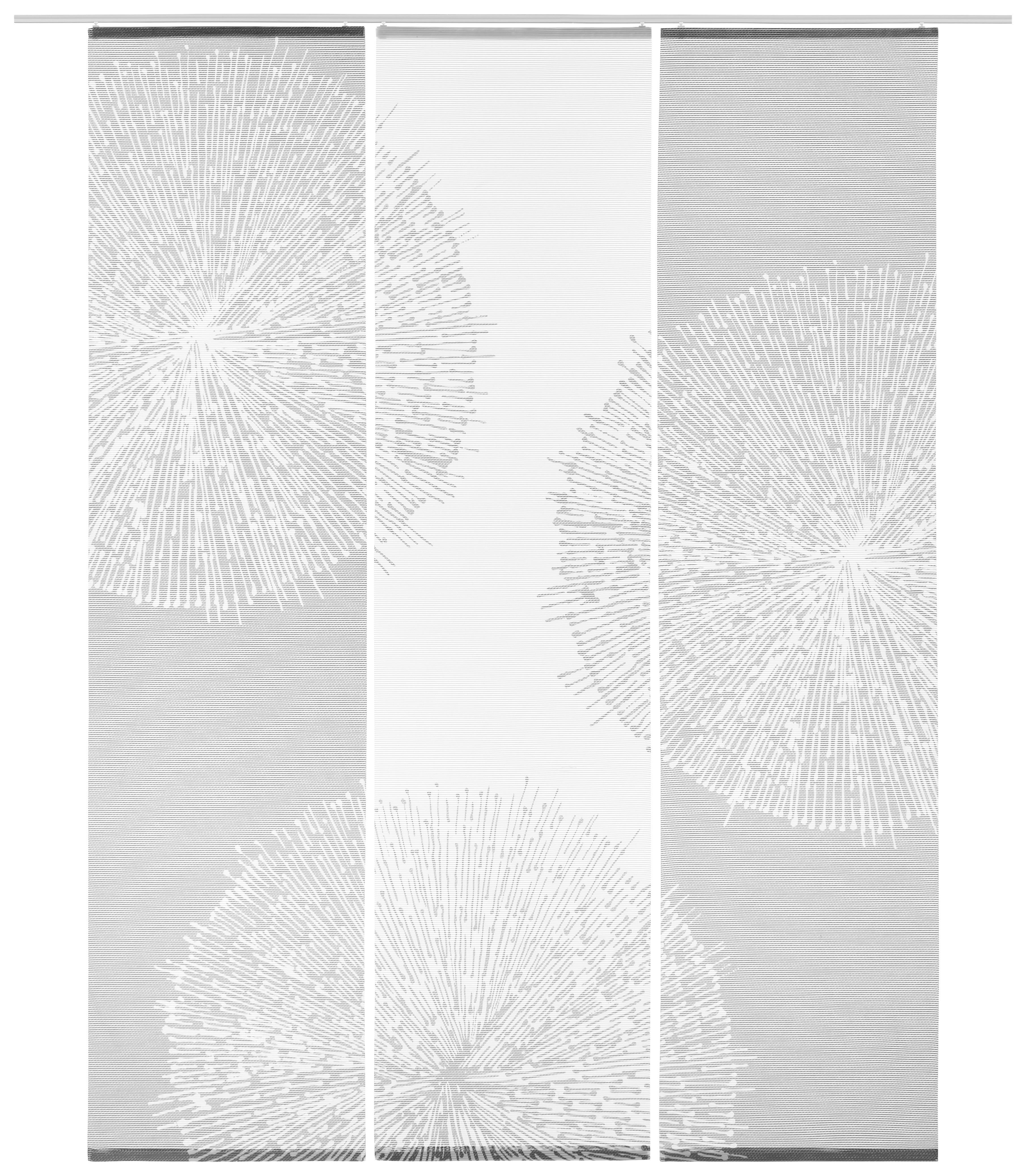 FLÄCHENVORHANG 3ER SET  3 Stück  halbtransparent   60/245 cm  - Weiß/Grau, Natur, Textil (60/245cm) - Novel