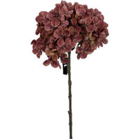 DEKORAČNÁ KYTICA  - medená/zelená, Romantik / Landhaus, plast (64/18/18cm)