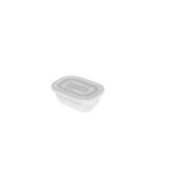 GEFRIERDOSE FREEZE 0,5 L  - Transparent, Basics, Kunststoff (15,5/11/10,5cm) - Rotho