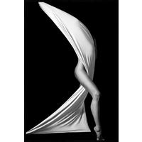 BILD 80/120 cm  - Schwarz, Design, Holz/Kunststoff (80/120cm)