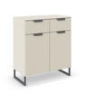 KOMMODE  in 80/81/42 cm  - Champagner/Dunkelgrau, Design, Holzwerkstoff/Metall (80/81/42cm) - Carryhome
