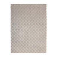 HOCHFLORTEPPICH 120/170 cm Grau  - Grau, Basics, Textil (120/170cm) - Kayoom