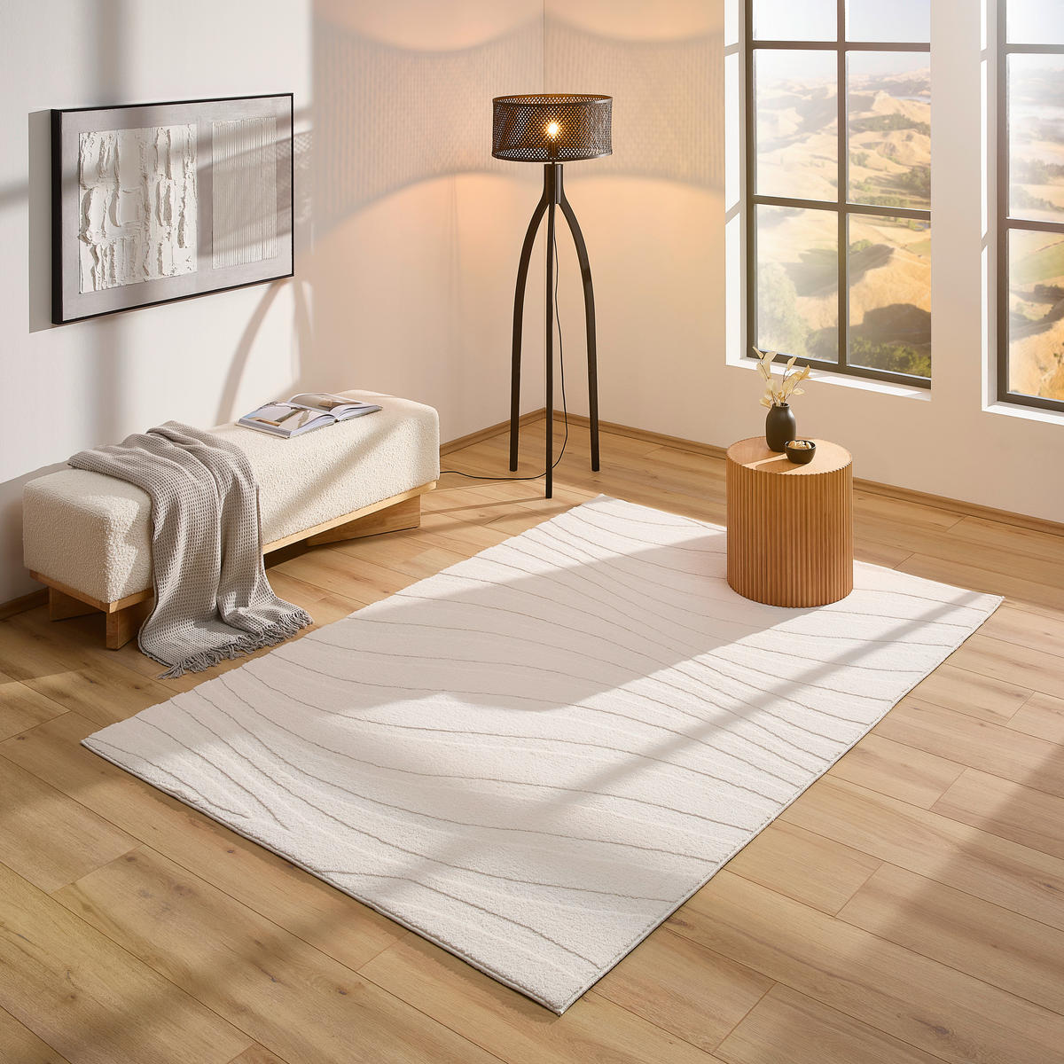 WEBTEPPICH 80/150 cm  - Basics, Textil (80/150cm) - Novel