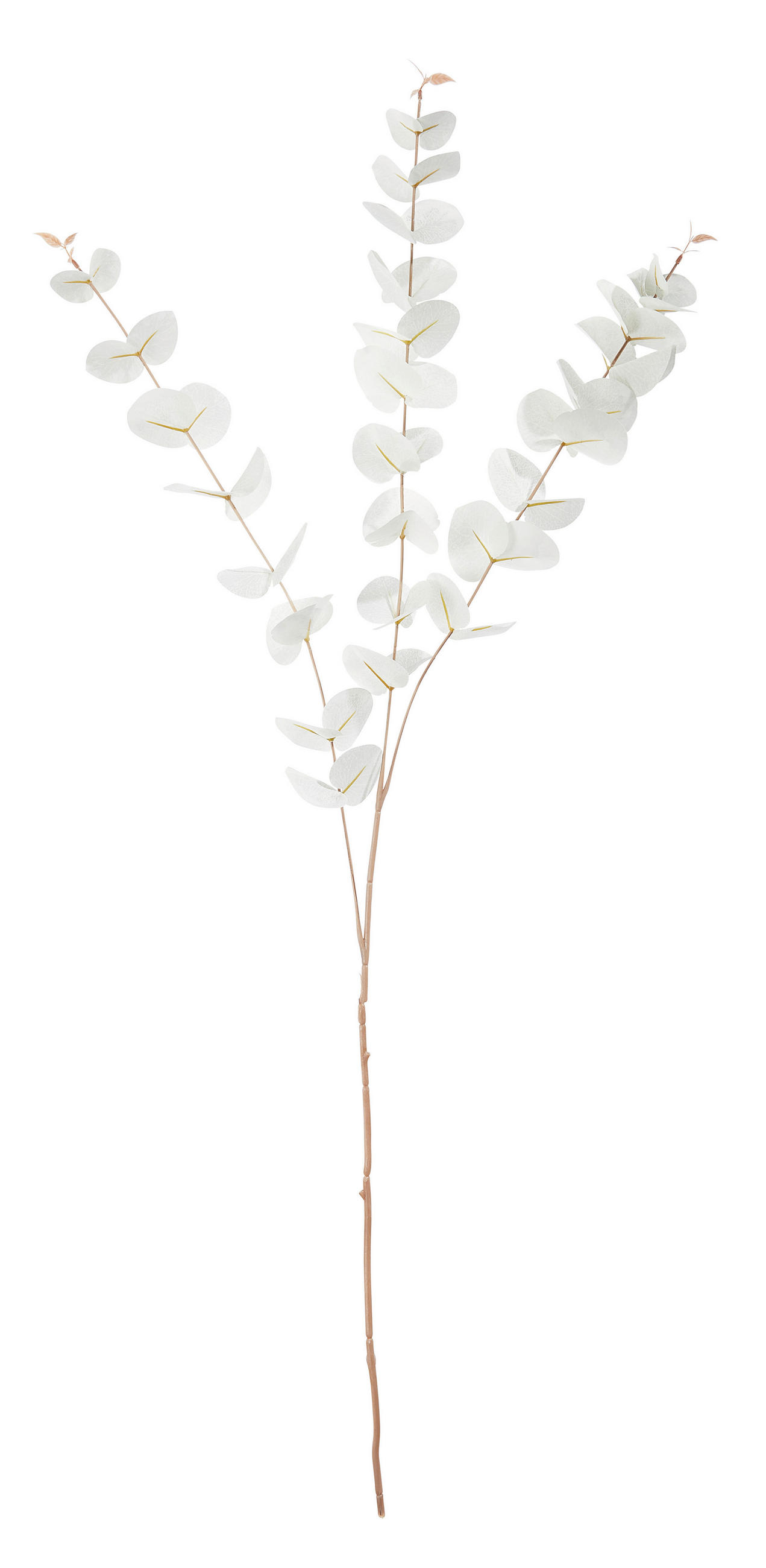 KUNSTPFLANZE Eukalyptus  - Weiss, Basics, Kunststoff (100cm)