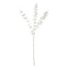 KUNSTPFLANZE Eukalyptus  - Weiß, Basics, Kunststoff (100cm)