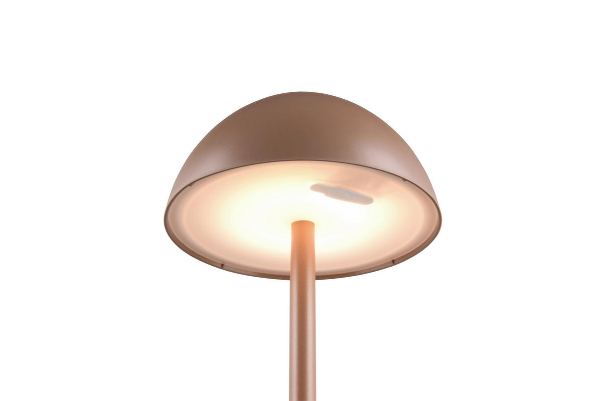 AKKU-TISCHLEUCHTE - Braun, Basics, Kunststoff (30,0/13,5cm)