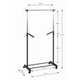 KLEIDERWAGEN in Schwarz, Chromfarben 81/100-177/42 cm   - Chromfarben/Schwarz, Basics, Kunststoff/Metall (81/100-177/42cm) - Carryhome