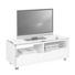 TV-ELEMENT 120/46/45 cm - Weiß, Design, Holzwerkstoff/Kunststoff (120/46/45cm) - Carryhome TV-ELEMENT 120/46/45 cm - Weiß, Design, Holzwerkstoff/Kunststoff (120/46/45cm) - Carryhome