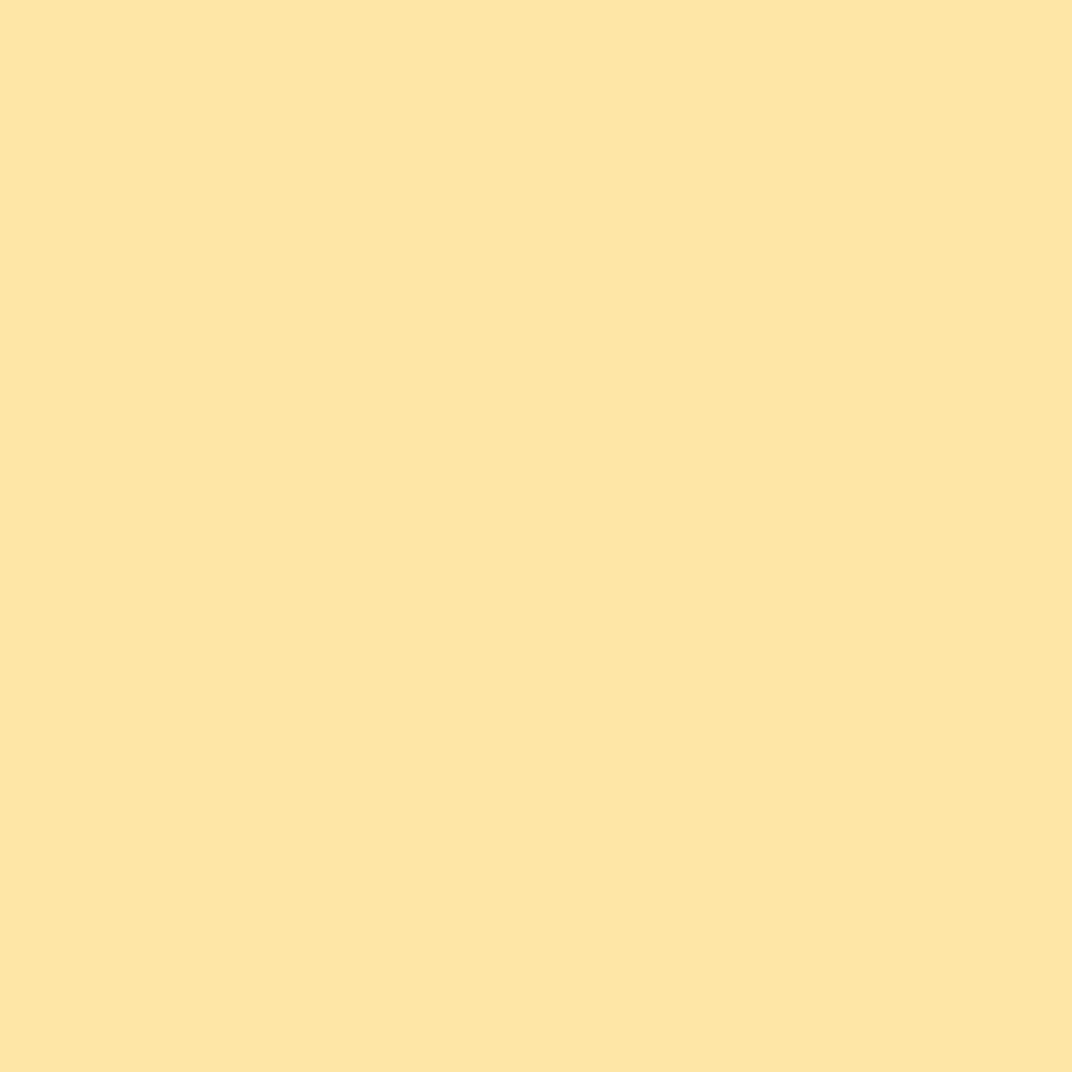 SPANNBETTTUCH Jersey  - Honig, KONVENTIONELL, Textil (100/200cm) - Bierbaum