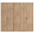 DREHTÜRENSCHRANK 251/223/60 cm 5-türig Sonoma Eiche  - Silberfarben/Sonoma Eiche, Design, Holzwerkstoff/Kunststoff (251/223/60cm) - Novel