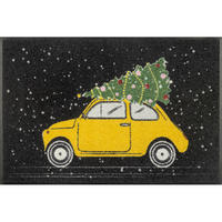 FUßMATTE  50/75 cm  Multicolor  - Multicolor, Trend, Kunststoff/Textil (50/75cm) - wash+dry