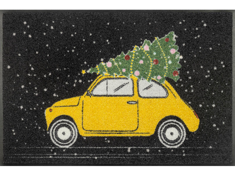 Covoraș De Intrare 50/75 cm