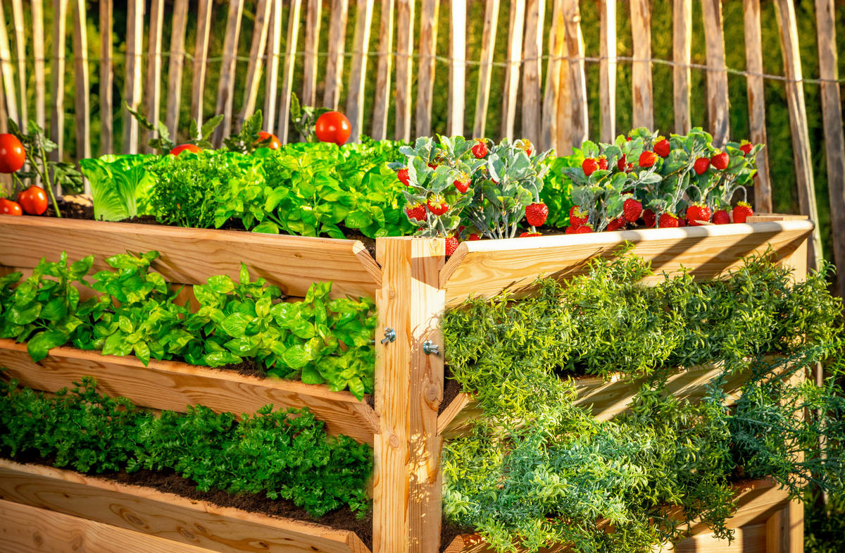 VYVÝŠENÝ ZÁHON   - farba smrekovca, Basics, drevo (124/73/91cm)