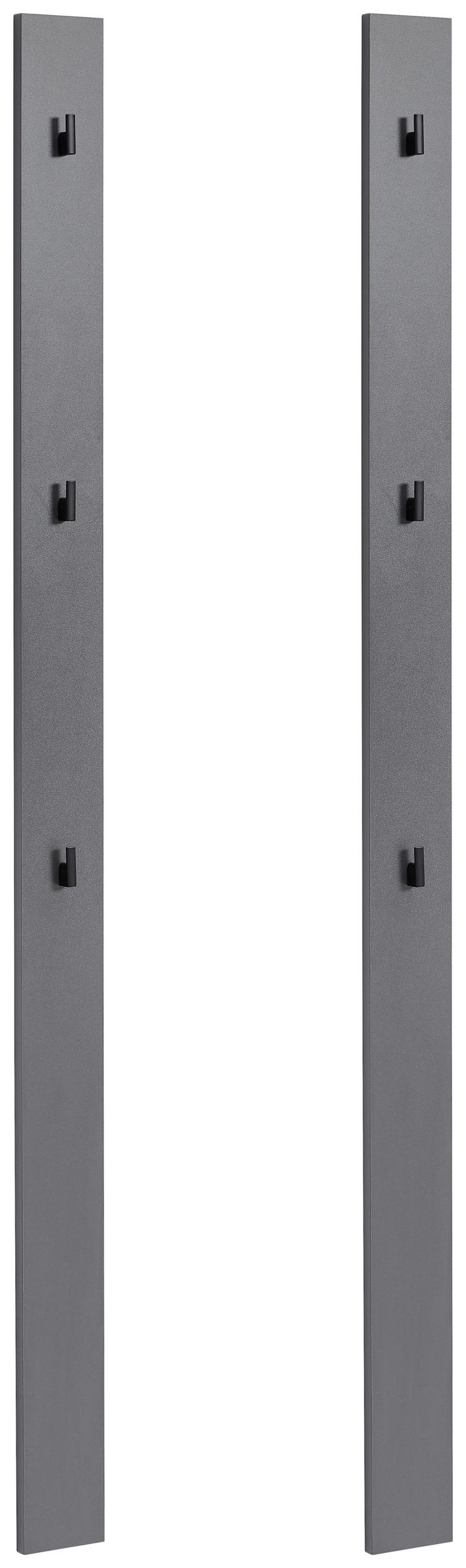 GARDEROBENPANEEL 2er-Set 10/163/2 cm  - Anthrazit, MODERN, Kunststoff (10/163/2cm) - Hom`in