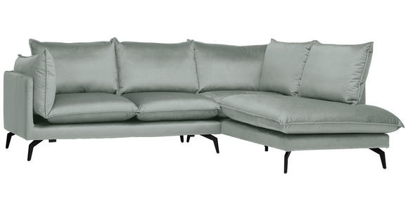 ECKSOFA in Samt Hellgrau 241/200 cm - Hellgrau/Schwarz, Design, Textil/Metall (241/200cm) - Carryhome