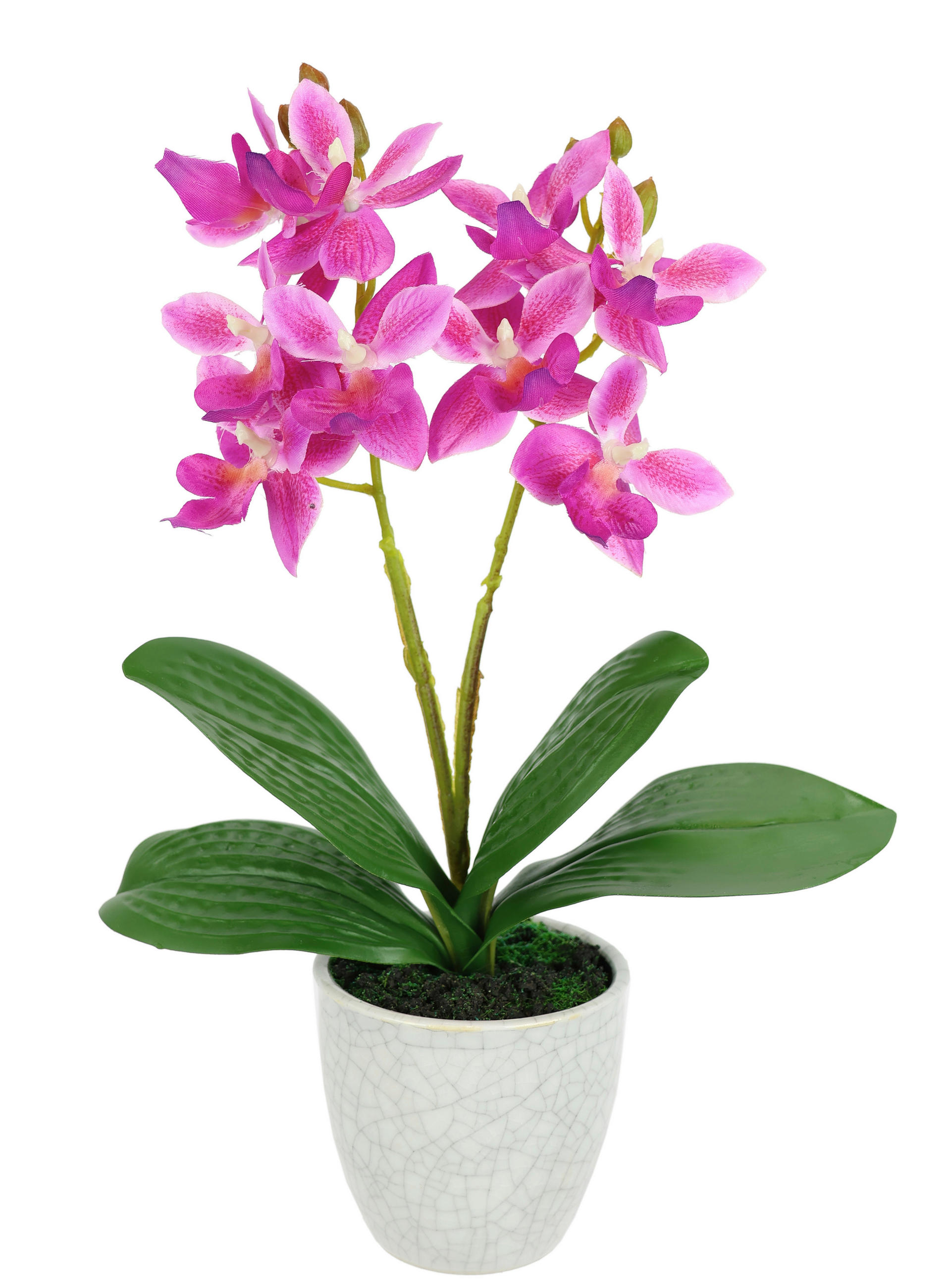 ORCHIDEE  - Dunkelrosa/Rosa, Basics, Textil (14/30cm)