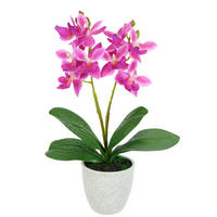 ORCHIDEE  - Dunkelrosa/Rosa, Basics, Textil (14/30cm)