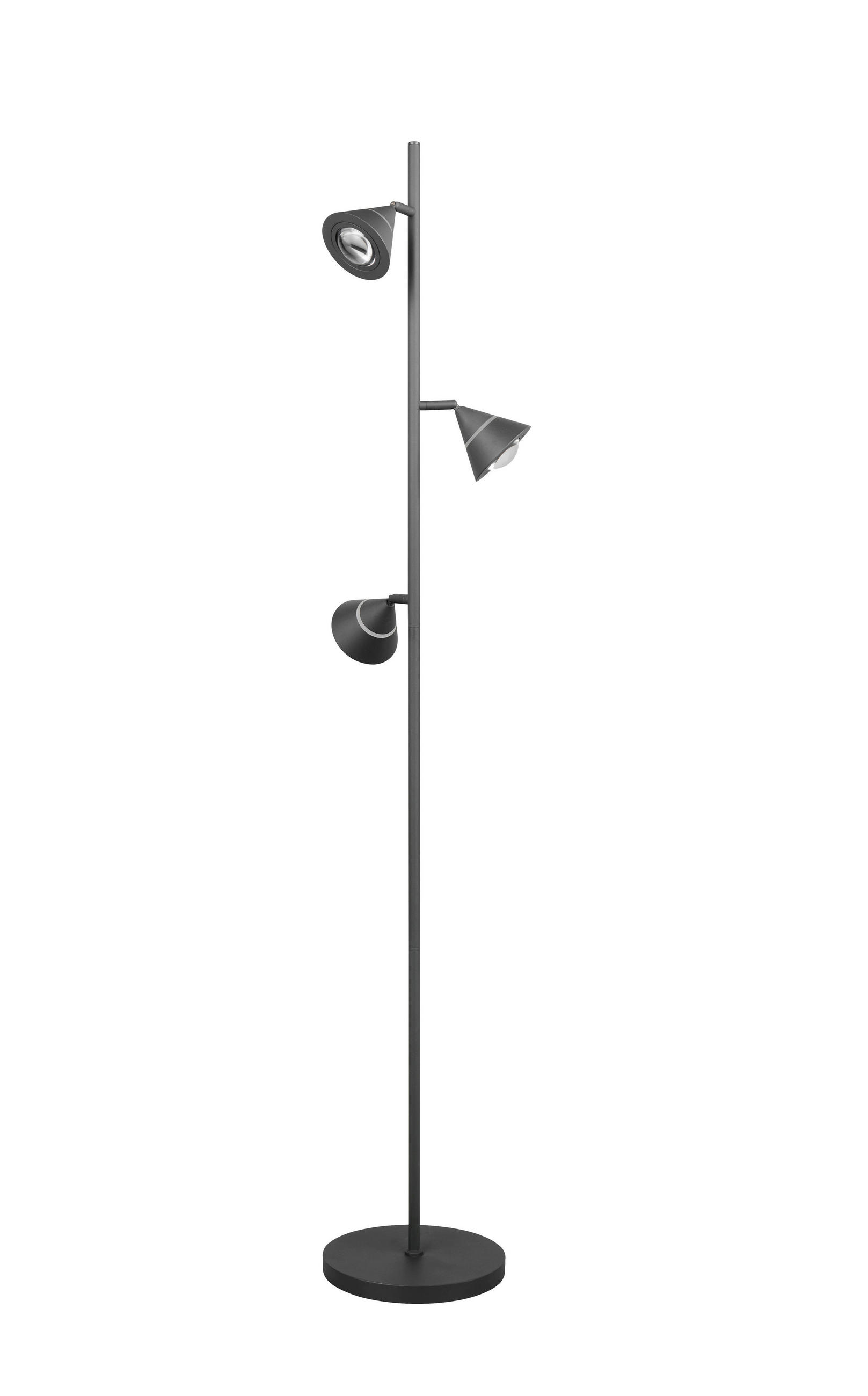 STOJACIA LED LAMPA, 25/150 cm  - priehľadné/čierna, Basics, kov/plast (25/150cm)