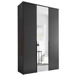 DREHTÜRENSCHRANK  in Graphitfarben  - Schwarz/Graphitfarben, MODERN, Glas/Holzwerkstoff (135/225/52cm) - Carryhome