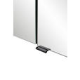 SPIEGELSCHRANK 100/64/20 cm  - Rot/Schwarz, KONVENTIONELL, Glas/Holzwerkstoff (100/64/20cm) - Xora