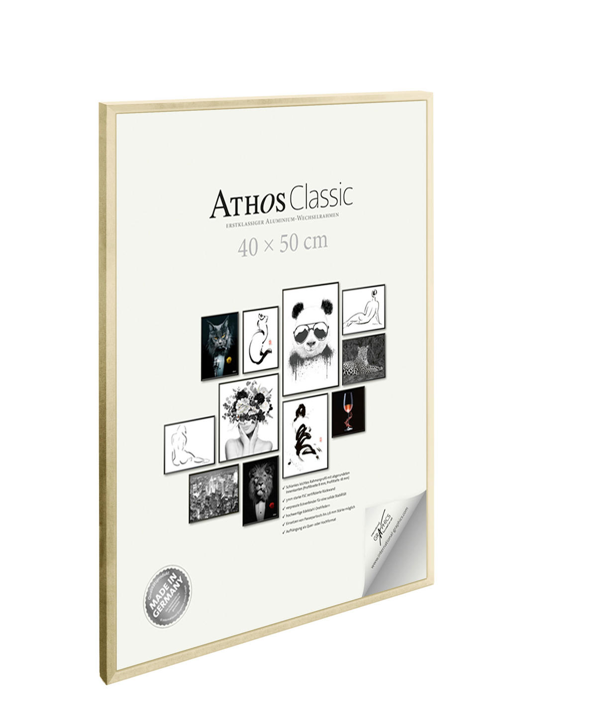 BILDERRAHMEN - Goldfarben, Basics, Papier/Holzwerkstoff (40/50/1,8cm)