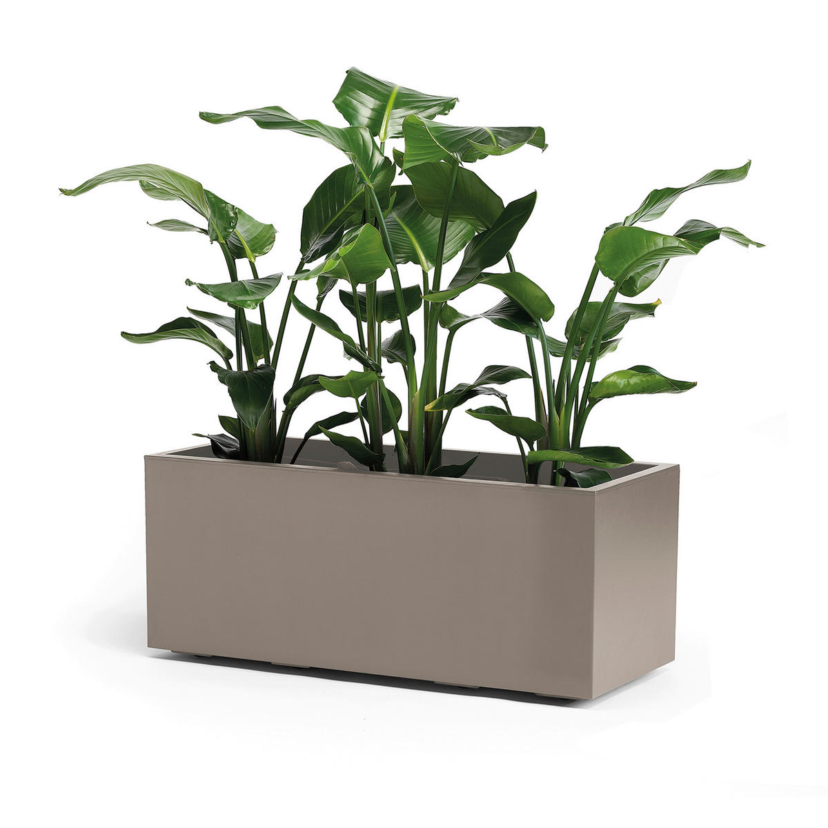 BLUMENKASTEN GREENER KEBE  - Taupe, Basics, Kunststoff (99,5/39,5/39,5cm)