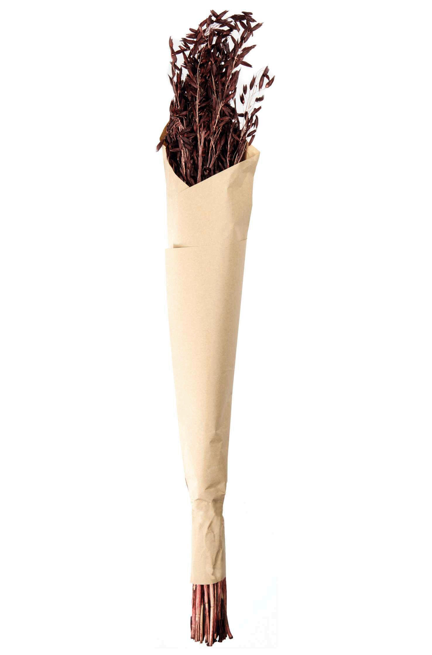 DEKOPFLANZE  - Braun, Basics, Naturmaterialien (70-75cm) - ASA