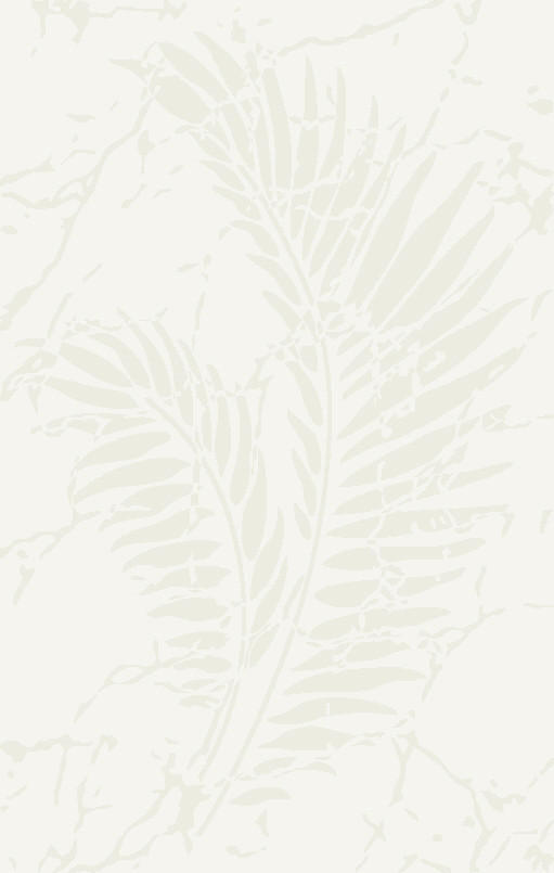 Covor Țesut  - crem, Design, textil (160/230cm) - Novel