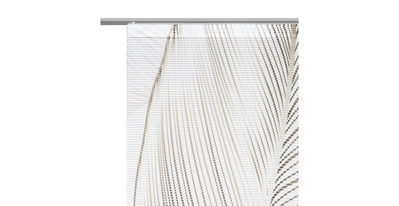 FLÄCHENVORHANG in Taupe halbtransparent  - Taupe, Basics, Textil (60/255cm) - Novel