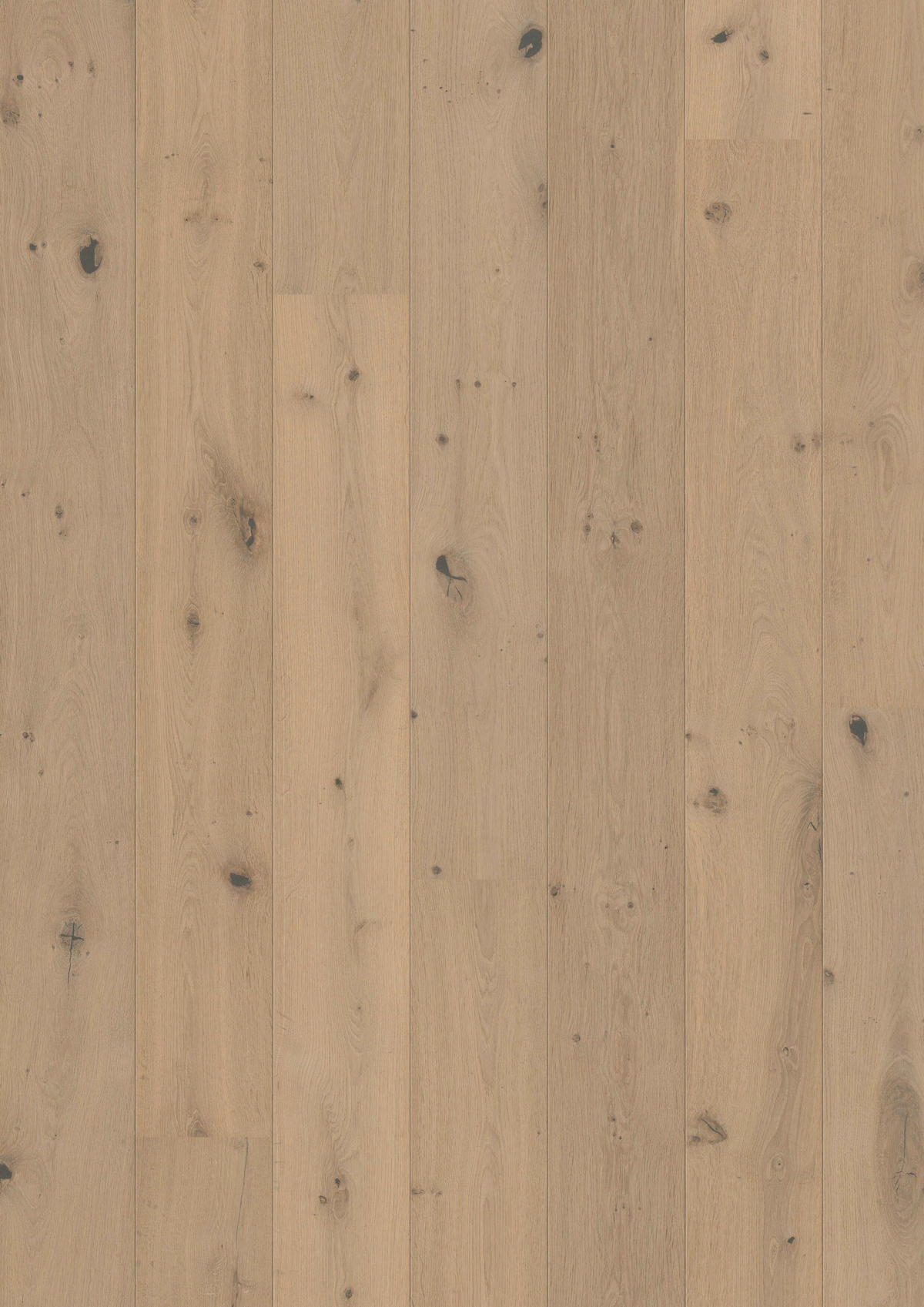 LANDHAUSDIELE Rustico Trend Eiche Crema!Pur 100014501  per  m² - Design, Holz (2205/176/13cm) - Tilo