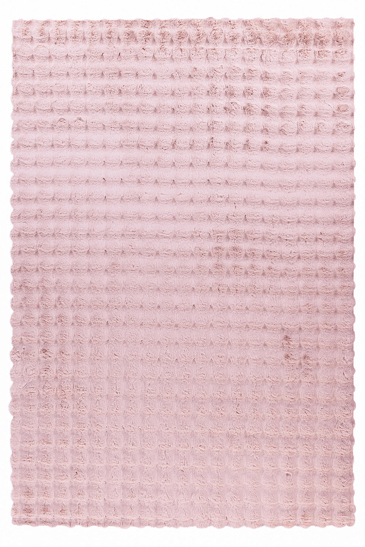 HOCHFLORTEPPICH 200/290 cm Hailey Rosa  - Rosa, Basics, Textil (200/290cm) - Novel