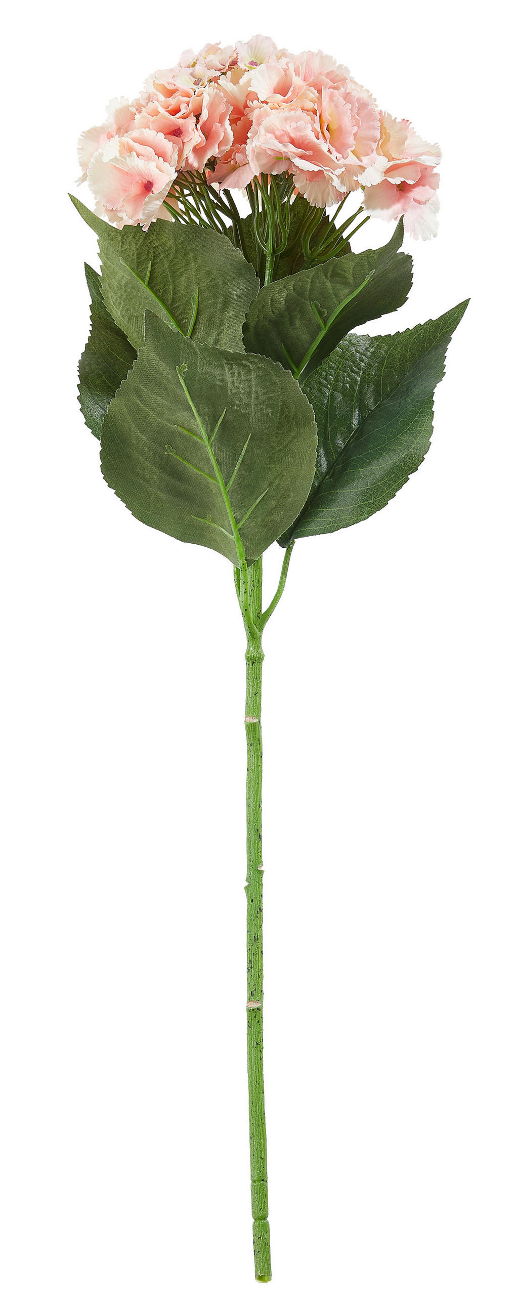 HORTENSIE  - Rosa/Weiß, Basics, Kunststoff (70cm)