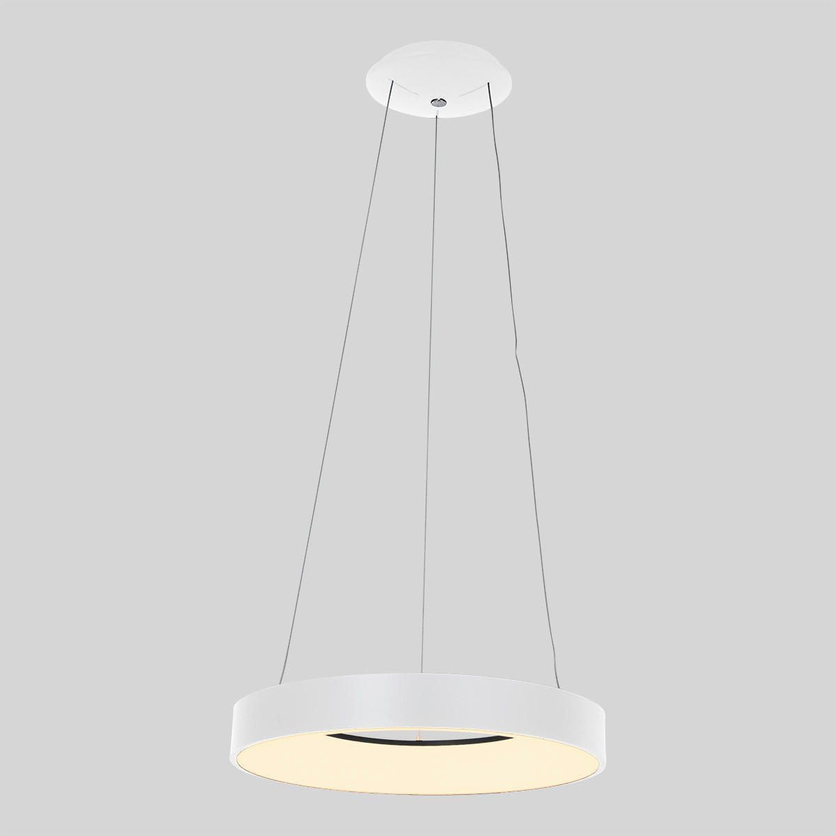 PENDELLEUCHTE Ringlede 48/165 cm   - Weiß, Basics, Kunststoff/Metall (48/165cm)