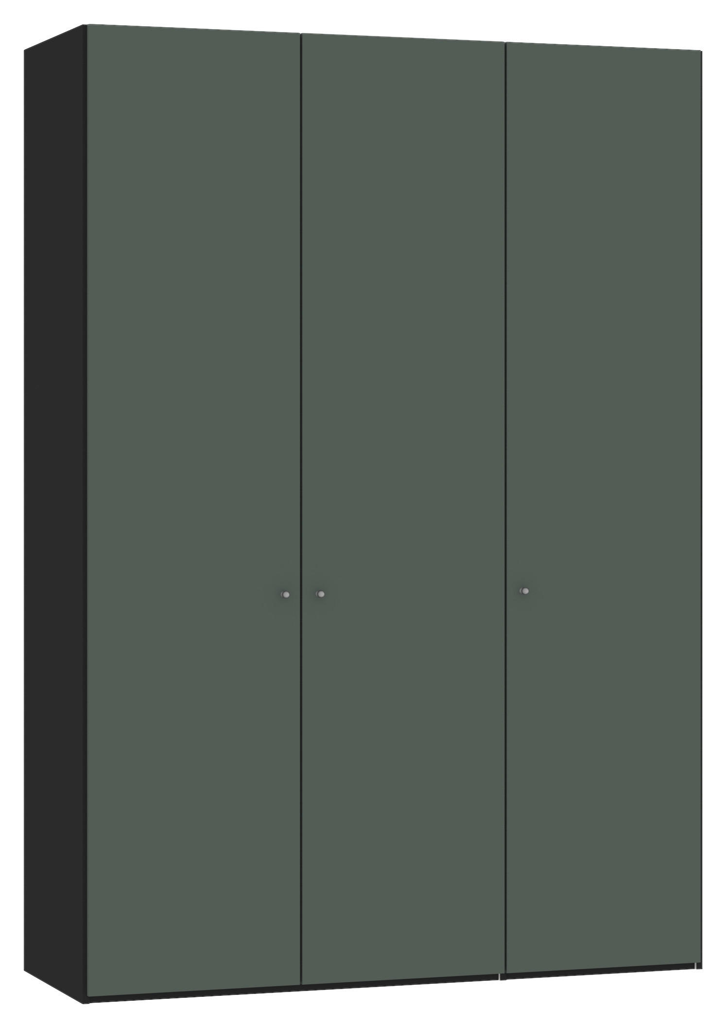 DREHTÜRENSCHRANK in Grau, Grün, Schwarz  - Silberfarben/Schwarz, Design, Glas/Holzwerkstoff (152/220/40cm) - Jutzler