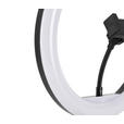 LED-RINGLEUCHTE 24,5/38 cm   - Schwarz/Weiß, Trend, Kunststoff/Metall (24,5/38cm) - Novel