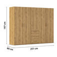 DREHTÜRENSCHRANK in Eichefarben - Eichefarben, Design, Holzwerkstoff/Kunststoff (251/197/60cm) - Novel