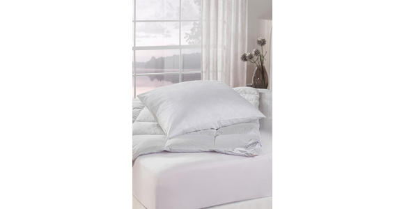 POLSTER 70/90 cm   - Weiß, Basics, Textil (70/90cm) - Sleeptex