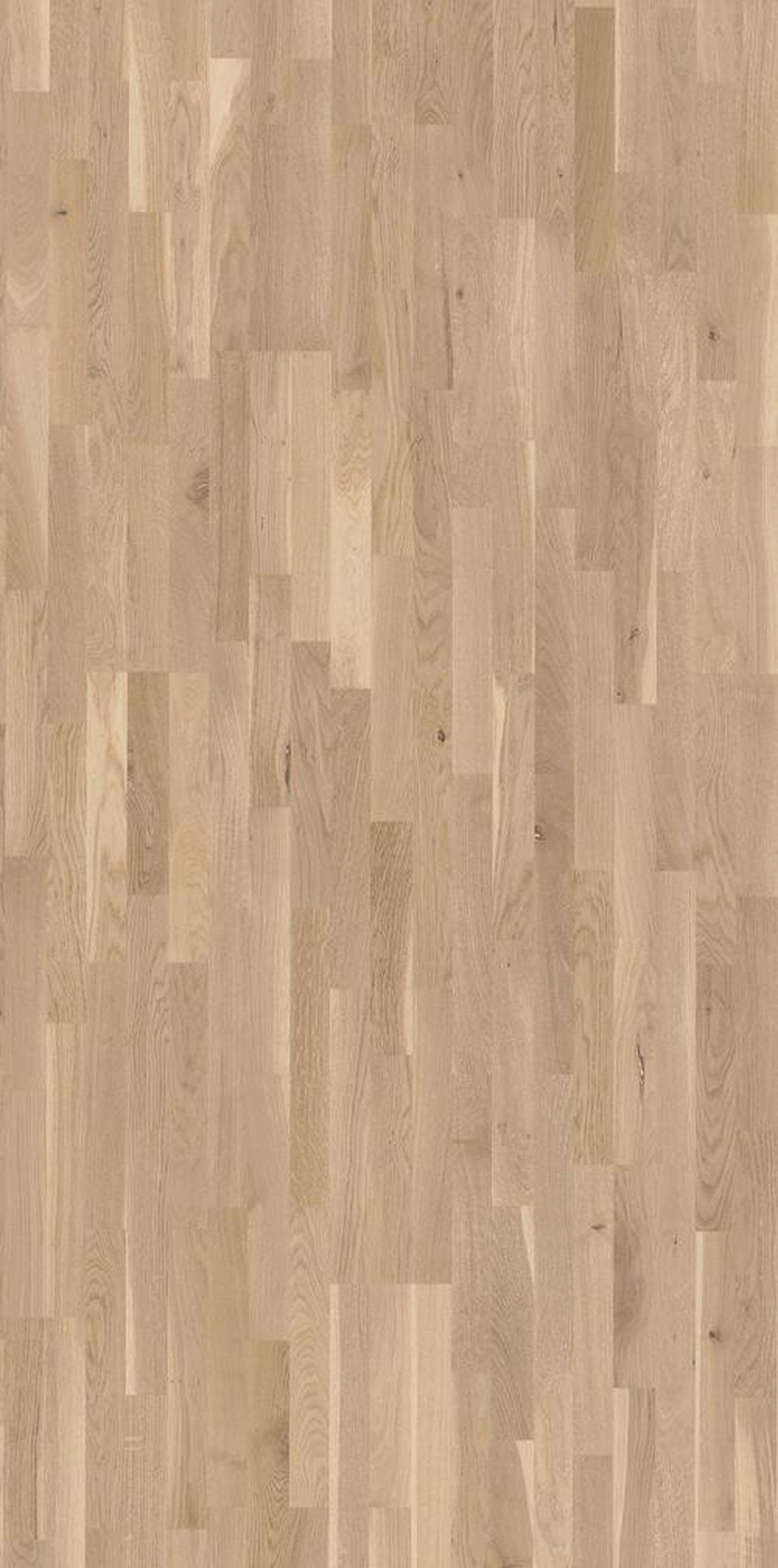 PARKETTBODEN BASIC 11-5 1366061  per  m² - Hellbraun/Weiß, LIFESTYLE, Holz (220/18,5/1,15cm) - Parador