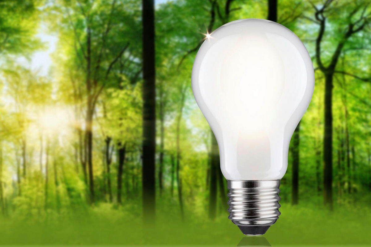 ENERGIESPAR-LEUCHTMITTEL - Transparent, Basics, Glas (6,0/10,5cm) - Paulmann