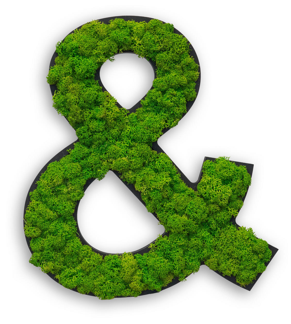 MOOSBILD Stylegreen  - Schwarz/Grün, Basics, Naturmaterialien/Holz (25/22/4cm)